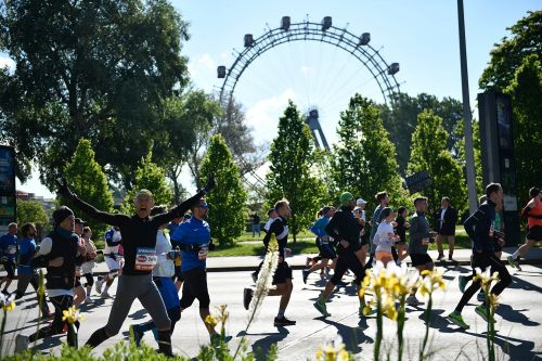 MARATONA DI VIENNA | 42K,21K,Staffetta 2024